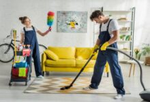 Achieving Perfect Cleanliness with Carpet Cleaning Services